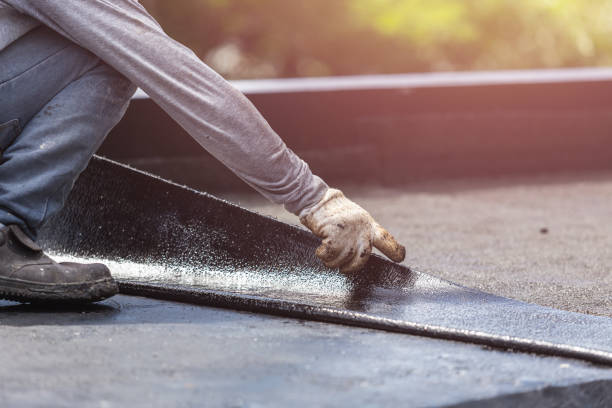Professional Basement Waterproofing technician working in Point Roberts, WA